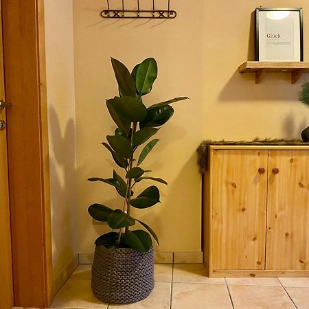 Appartement Auwald فورستاو المظهر الخارجي الصورة