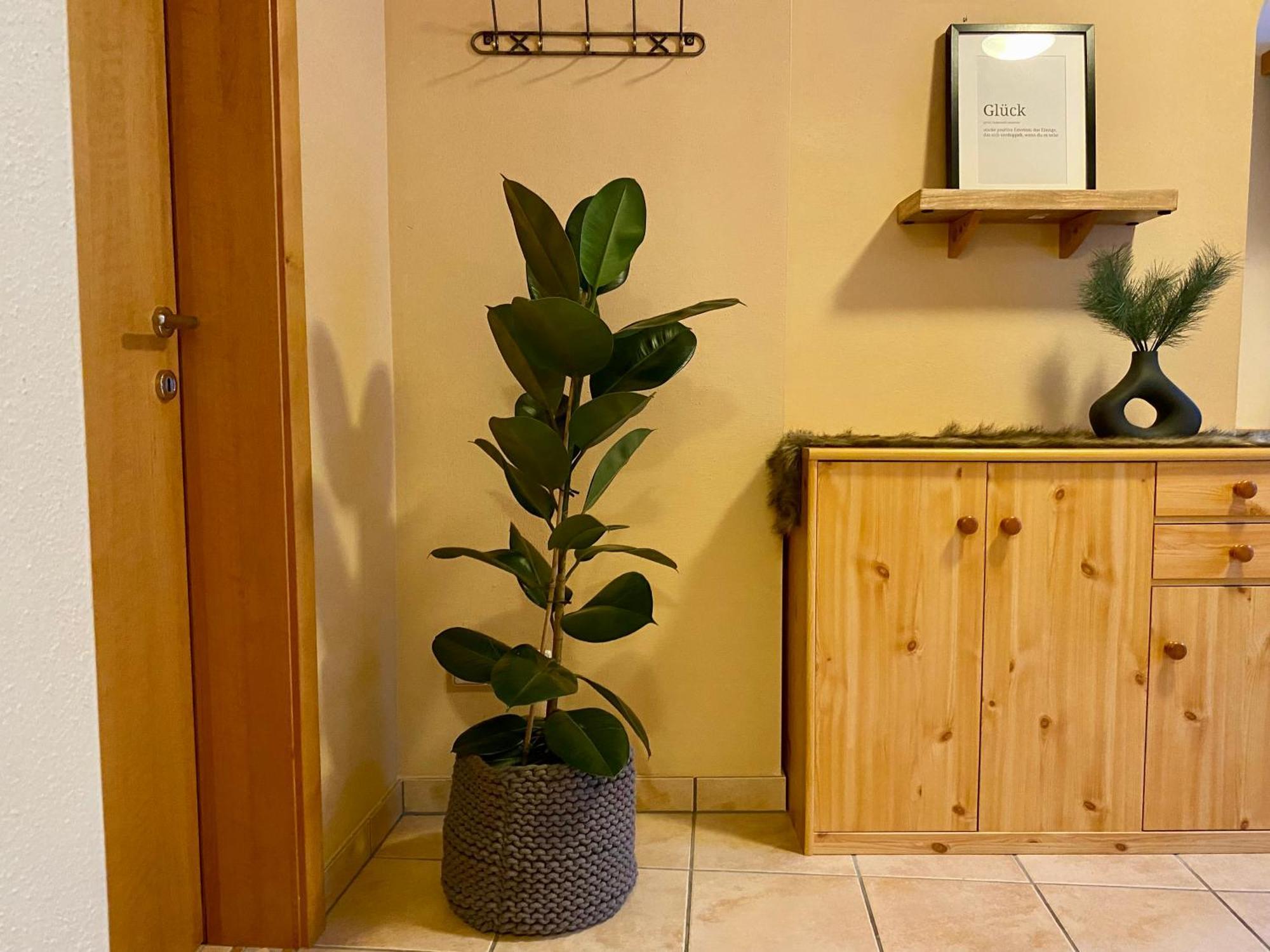 Appartement Auwald فورستاو المظهر الخارجي الصورة